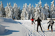 Langlaufen am Nationalpark Bayerischer Wald